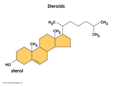 Steroid structure