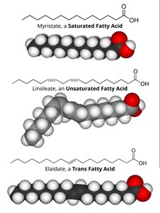 Amino acid structure