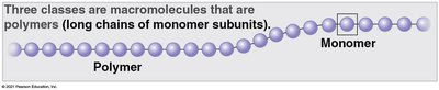 Polymer and monomer diagram