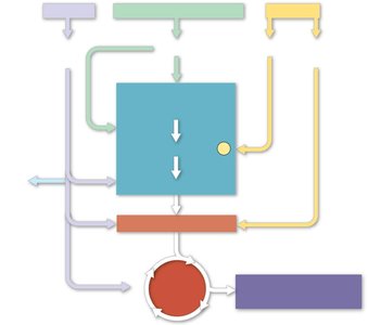 Diagram showing entry points of proteins, carbohydrates, and fats into cellular respiration