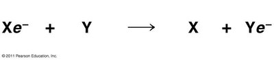 Generalized redox reaction: Xe- + Y → X + Ye-