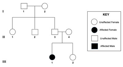 Pedigree chart for autosomal dominant inheritance