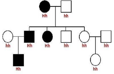 Pedigree chart for autosomal recessive inheritance