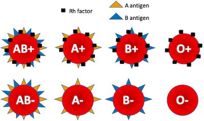 Blood compatibility table