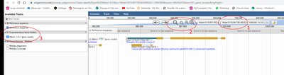 Genome browser showing sgRNA location and gene annotation
