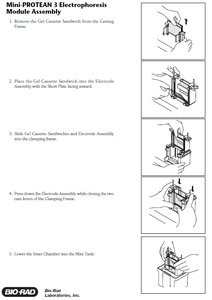 Mini-PROTEAN SDS-PAGE module assembly instructions