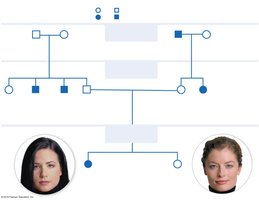 Pedigree chart for widow's peak trait
