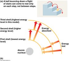 Energy levels of electron shells