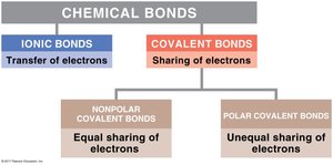 Types of chemical bonds: ionic, covalent (polar and nonpolar)