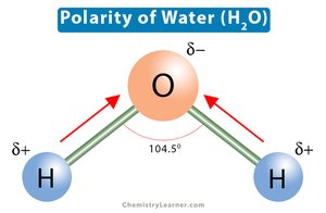 Polarity of water molecule (H2O)