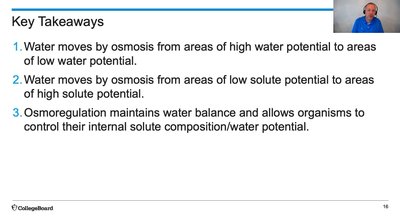 Water potential calculation steps