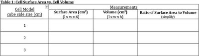Cell surface area vs volume table
