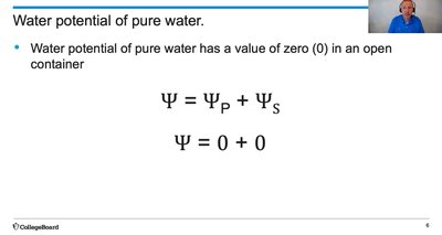 Water potential of pure water