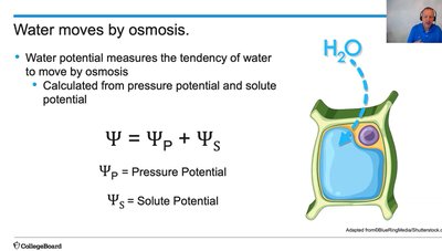 Water potential equation and cell diagram