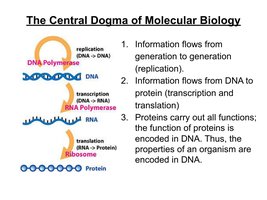 Central Dogma of Molecular Biology