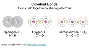 Covalent Bonds diagram