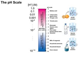 pH scale diagram