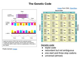 The Genetic Code