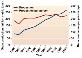 Grain production and production per person over time