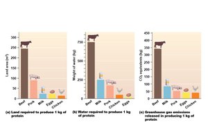 Land, water, and CO2 required to produce 1 kg of protein from different sources
