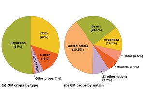 Pie charts of GM crops by type and by nation