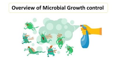 Overview of Microbial Growth control illustration