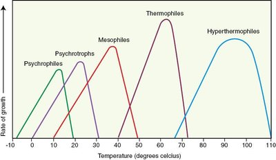Temperature and Optimal Growth of Microbes