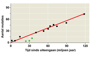 Grafiek van aantal mutaties versus tijd sinds splitsing bij zoogdieren