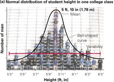 Normal distribution of student height in a college class