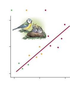 Scatter plot showing correlation between parent and offspring immune response