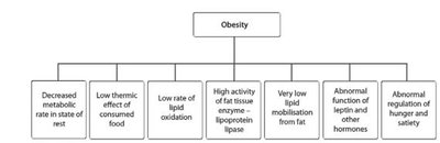 Diagram showing genetic and environmental factors contributing to obesity