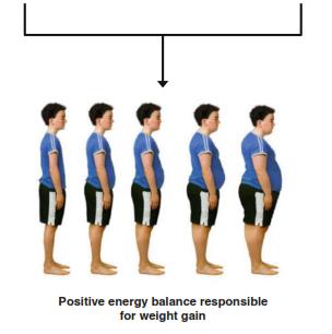 Diagram showing gene-environment interaction in obesity