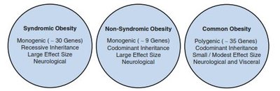 Diagram showing three types of obesity: syndromic, non-syndromic, and common