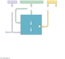 Metabolic pathway diagram