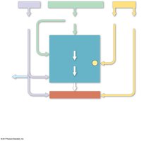 Metabolic pathway diagram