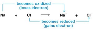 Redox reaction example Na and Cl