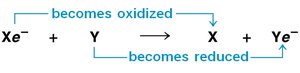 Redox reaction example Xe and Y