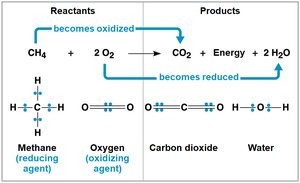 Methane oxidation redox reaction