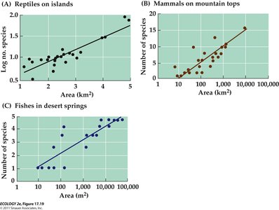 Log-transformed data showing linear regression