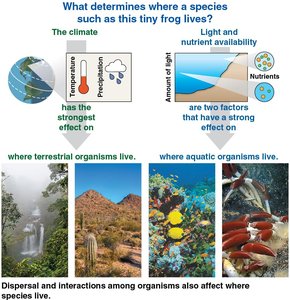 Diagram showing factors that determine where a species lives, including climate, light, nutrients, and interactions