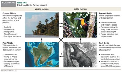 Table of abiotic and biotic factors affecting acai palms