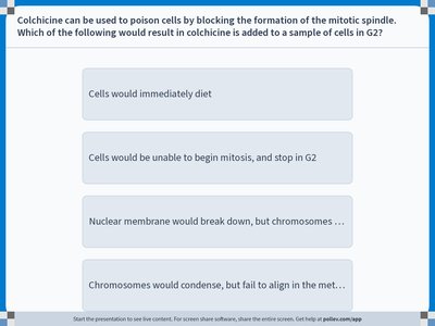Cytokinesis: cleavage furrow formation
