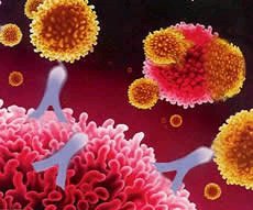 Autoimmune disease prevalence