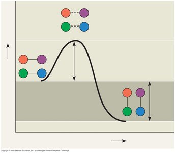Graph showing activation energy barrier for a reaction
