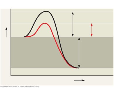 Graph comparing activation energy with and without enzyme