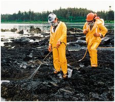 Bioremediation of oil spill using bacteria