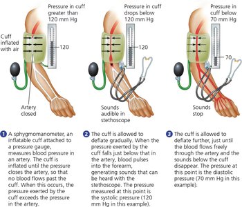 Measurement of blood pressure with a sphygmomanometer