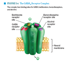 GABA receptor complex with drug binding sites
