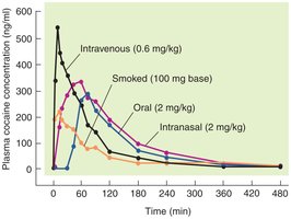 Graph of plasma cocaine concentration by route of administration