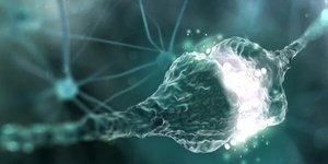 Synapse illustration showing neurotransmitter release